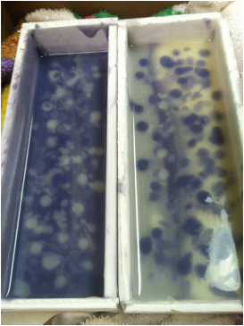 Shimmy Soaps in Mold